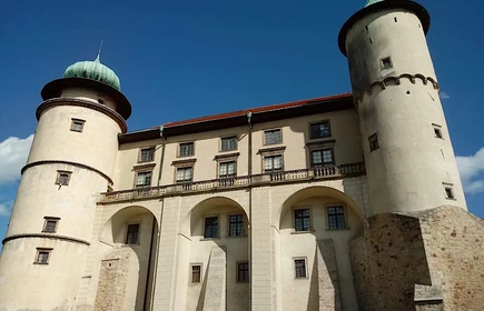 Sesja na zamku w Wiśniczu - galeria 4