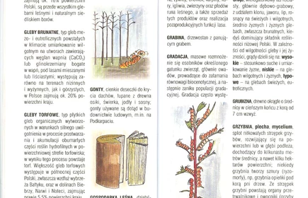 Przyroda Ziemi Bocheńskej 19