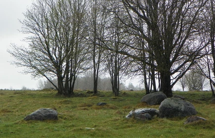 Laureat i Finalista Olimpiady Geograficznej 5