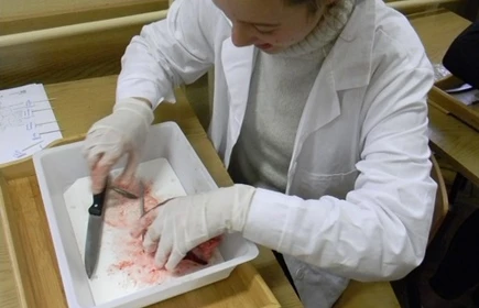 Małopolska Chmura Edukacyjna w I LO - galeria 3