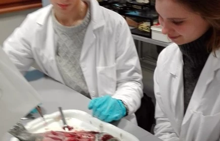 MCHE na UJ - galeria 2